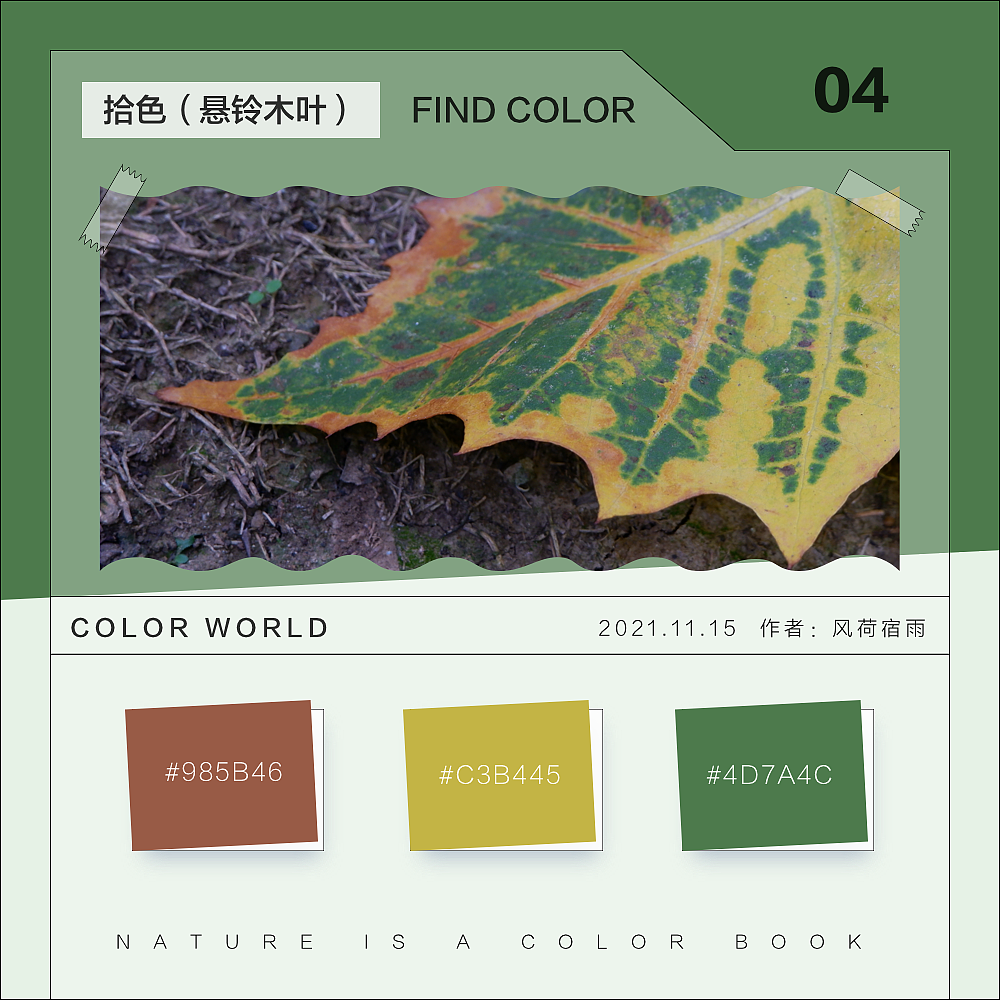 色彩（悬铃木）（图ZMjgyNzQ3MzIw） - 其他 - 站酷设计师风荷宿雨原创素材 - 站酷ZCOOL