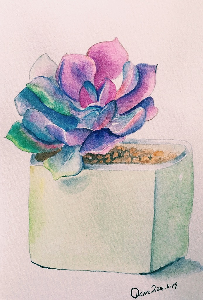 紫珍珠简笔画图片