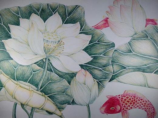 莲花