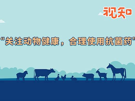 联合国粮农组织商业视频