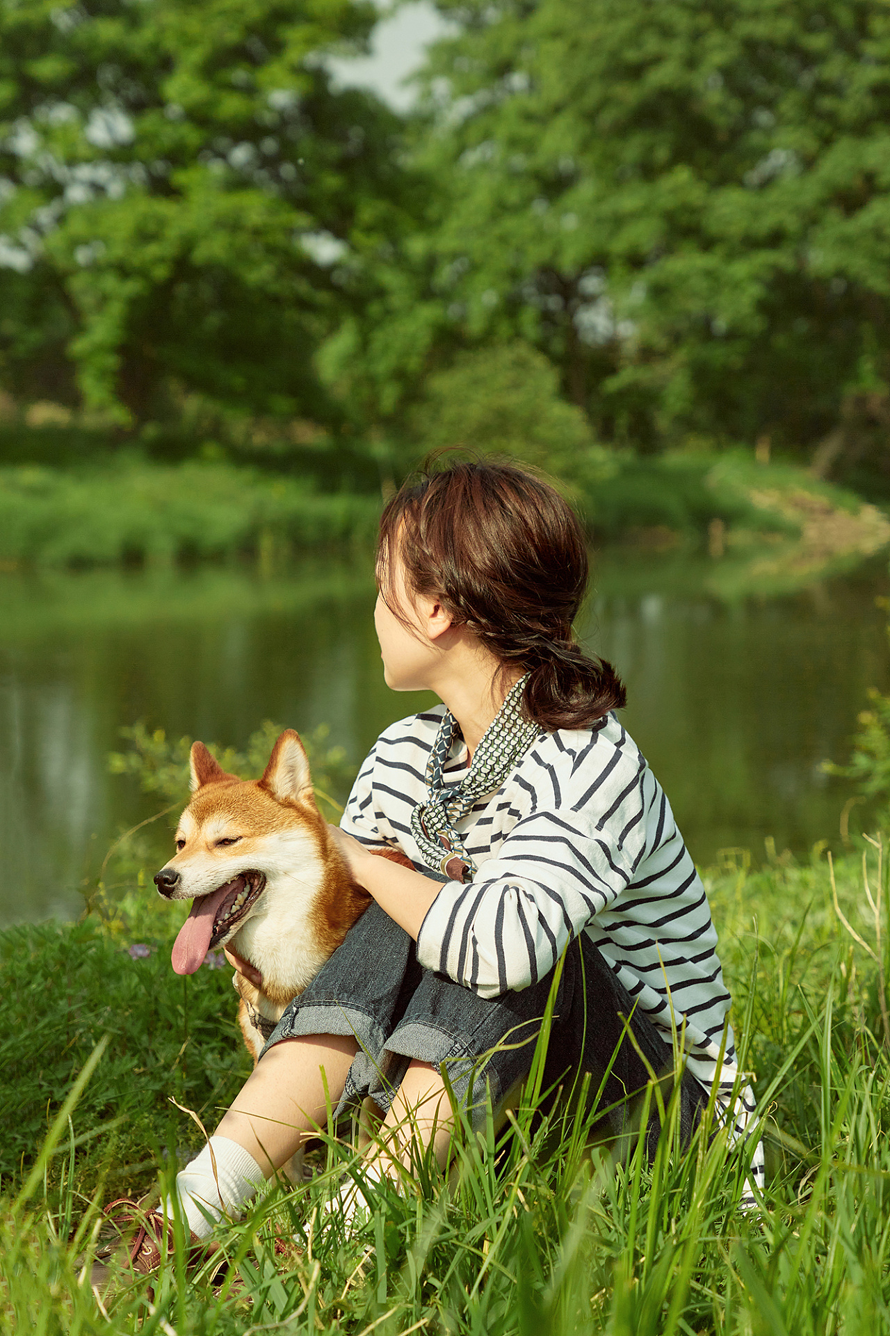 狗年中国：寻找人与狗和谐共处之道 - 中外对话