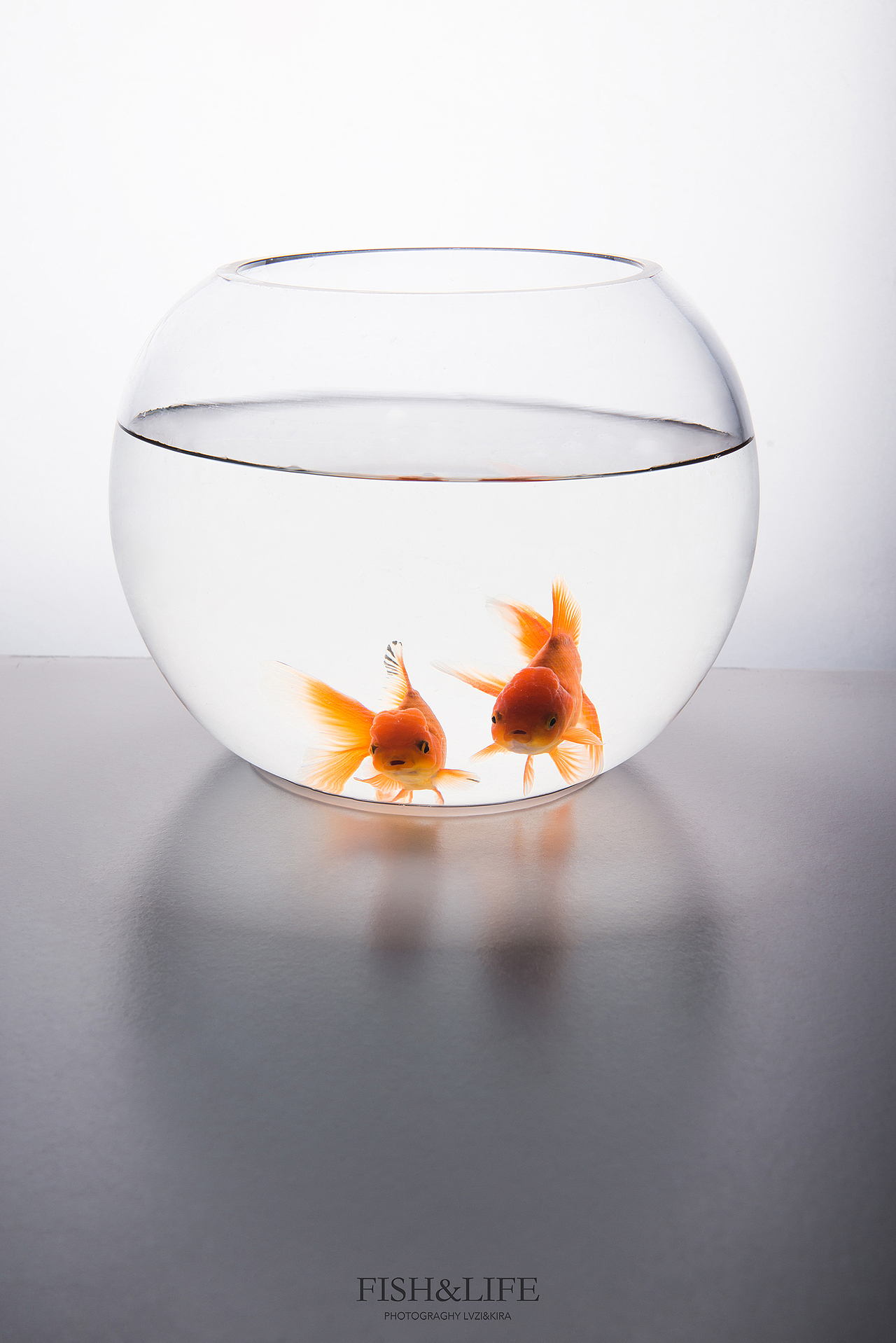 FISH&LIFE