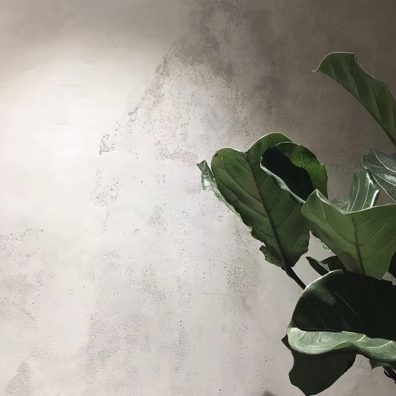 itD office /开放的工作交流空间/复合型工作室（图ZMTYwNTEzMzEy） - 家装设计 - 站酷设计师itDstudio原创素材 - 站酷ZCOOL