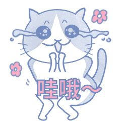 表情包-我是蛋蛋猫（图ZMjQxOTQzNDAw） - 网络表情 - 站酷设计师鼓鼓鱼原创素材 - 站酷ZCOOL