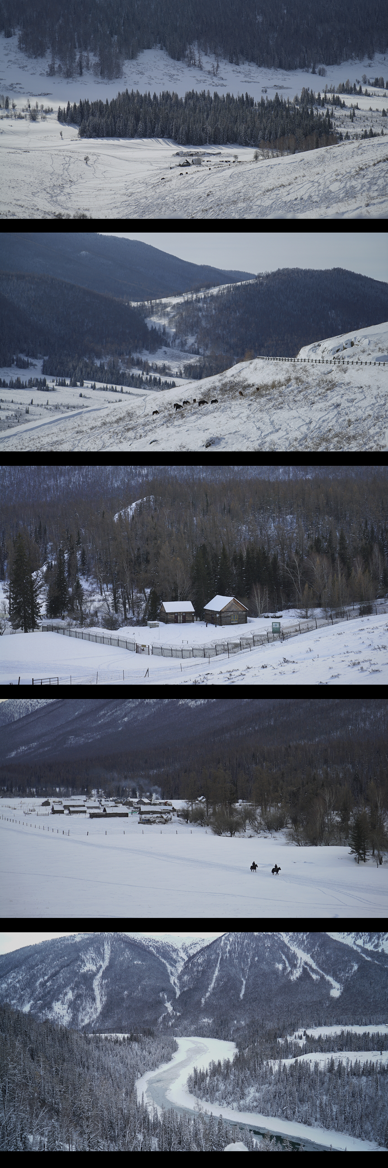 只有看到雪的冬天才算结束了四季. ​​​（图ZMTE2NDc2NzUy） - 人文/纪实摄影 - 站酷设计师哭哭man原创素材 - 站酷ZCOOL