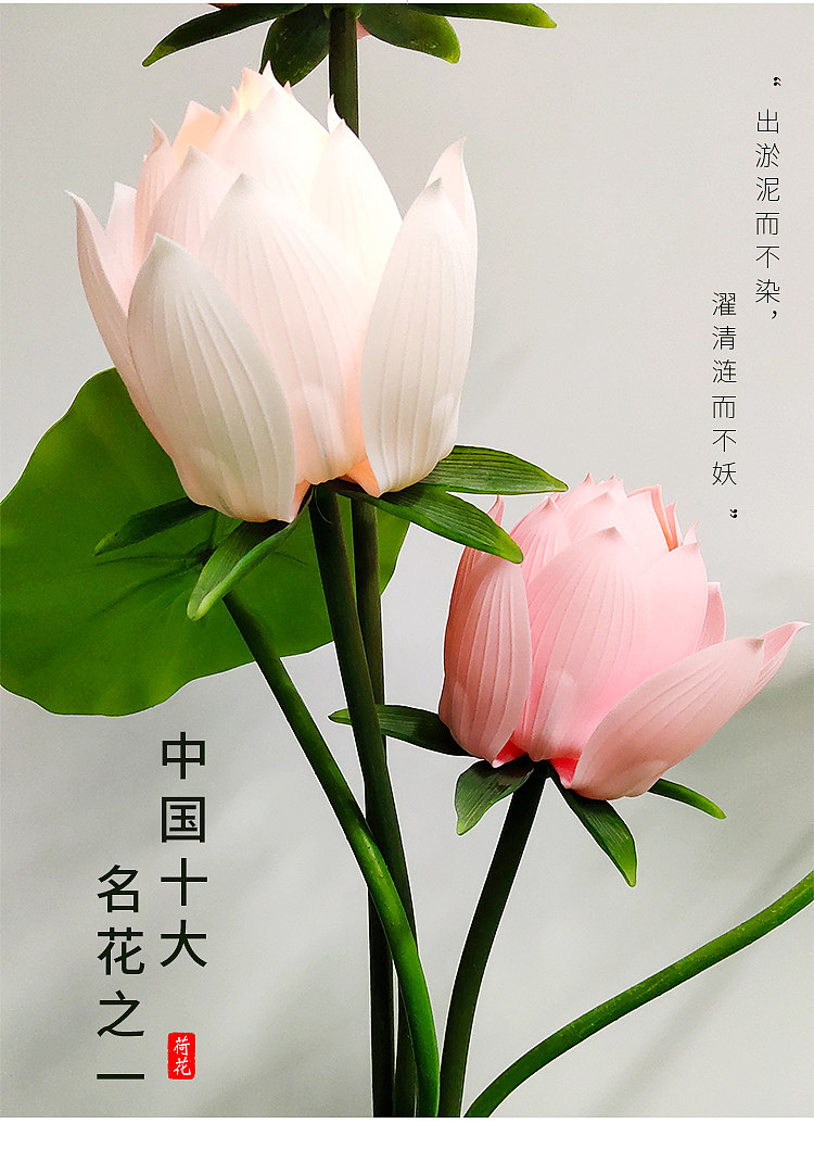 发光动态荷花水池装饰灯荷塘灯户外防水公园池塘亮化灯
