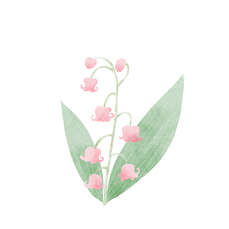 植物100绘(100/30)