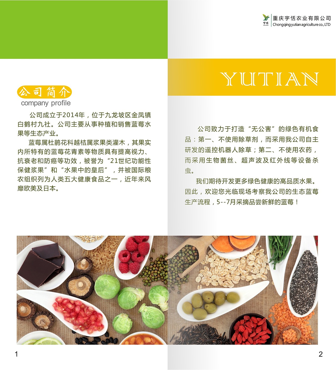 折页 画册 海报