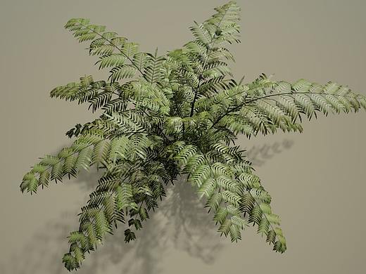 練習1（個人主頁-ZNTY2NjI3OTY=） - 其他三維 - 站酷設(shè)計師可靠i原創(chuàng)素材 - 站酷ZCOOL