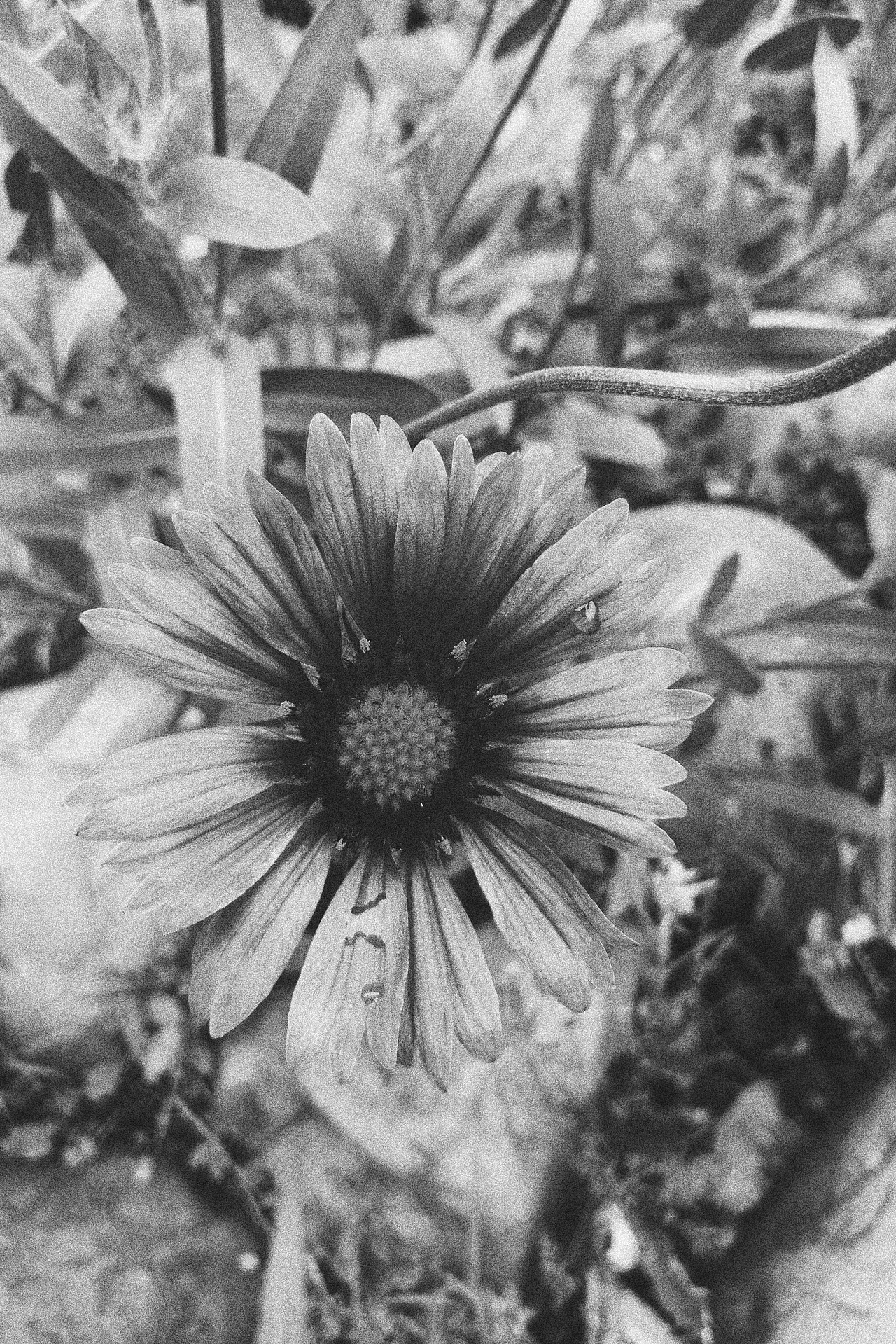 摄影（图ZMTYyMjc0MDIw） - 风光摄影 - 站酷设计师鱼肚子里的小孩原创素材 - 站酷ZCOOL