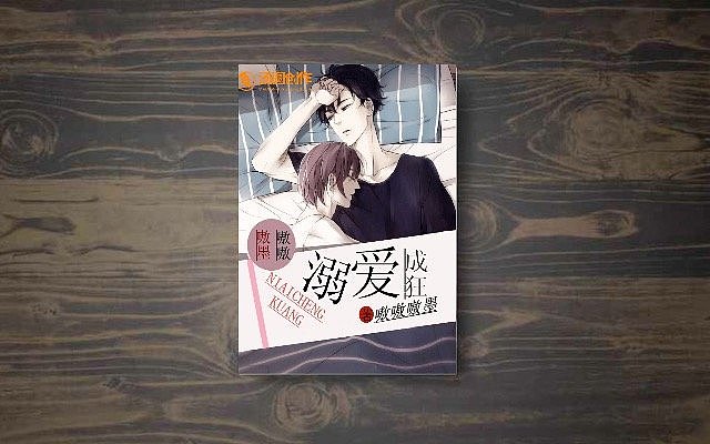 小说封面接单记录