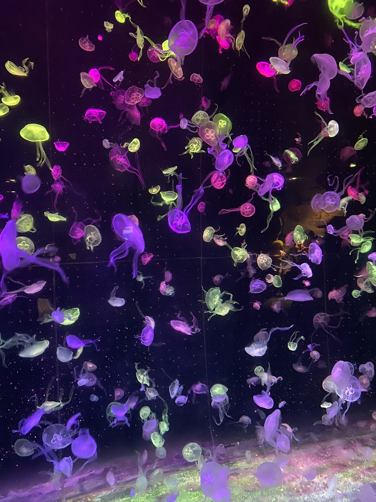 珠海长隆海洋公园