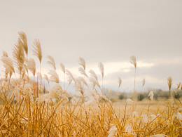 初冬乡景 - lightroom初调