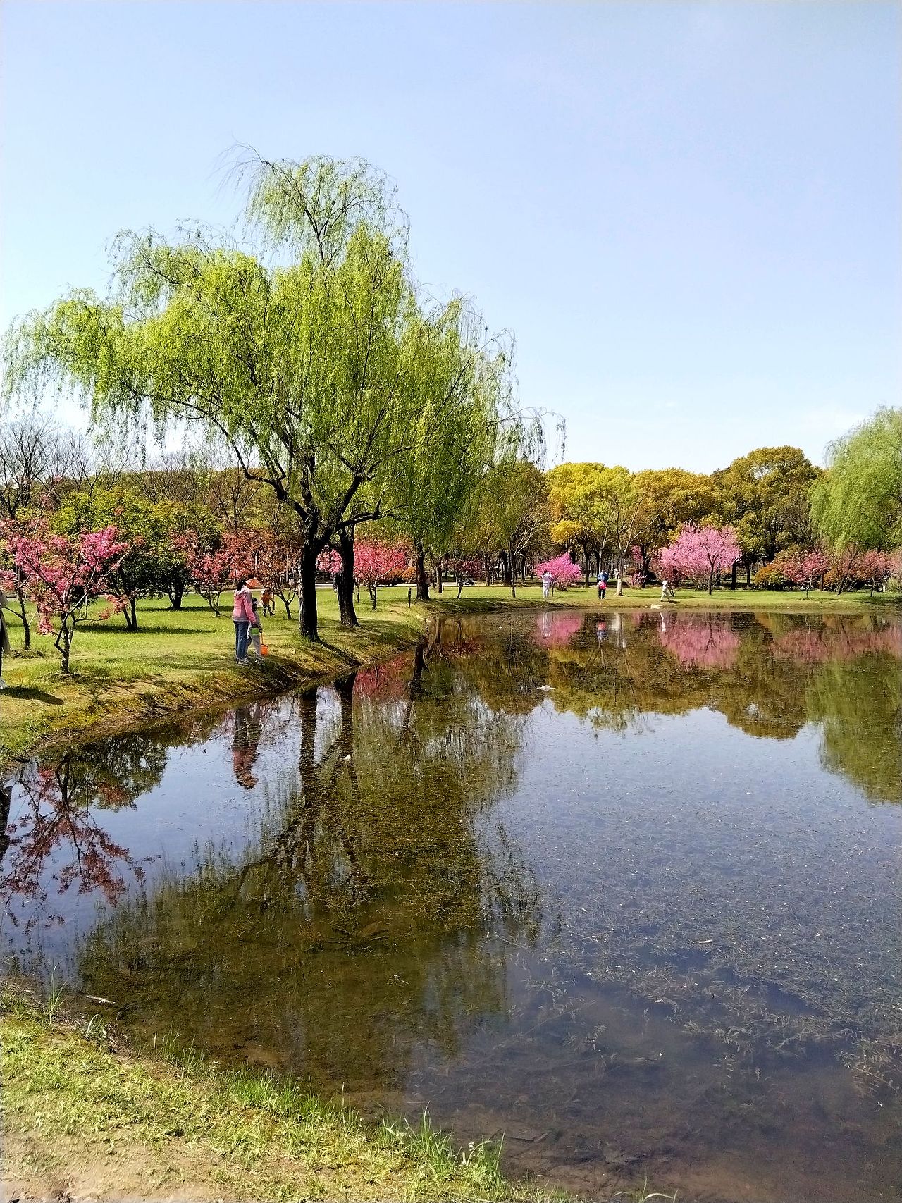 最美校园之一,复旦大学(江湾校区)2