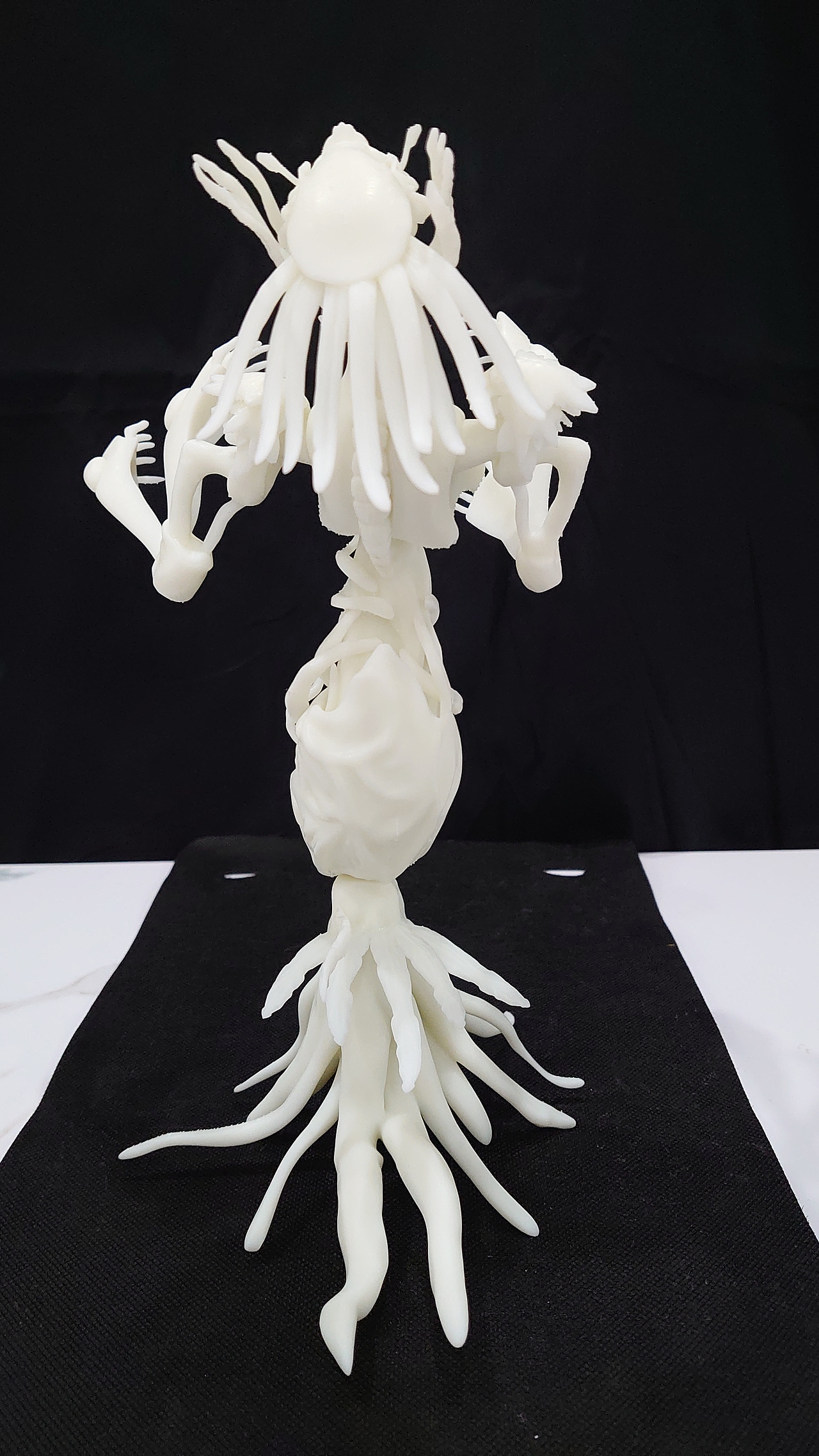 变形金刚野兽战争猛兽侠角色botanica树神