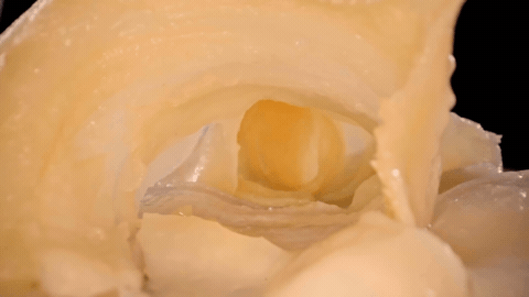 电商产品视频 | 花胶鸡 X 口水视觉(图ZMzUyNjU3Njcy) - 美食摄影 - 站酷设计师口水视觉原创素材 - 站酷ZCOOL