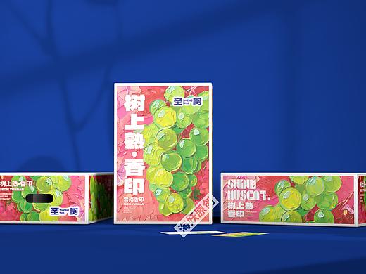 ｛原创｝葡萄🍇水果食品礼盒手绘插画包装设计