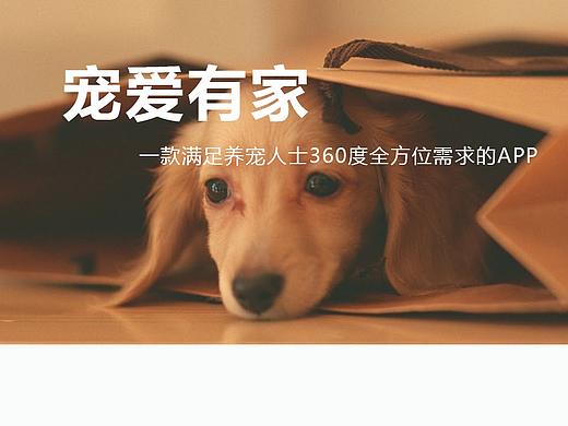 宠爱有家（个人主页-ZNDAyODkzMzY=） - APP界面 - 站酷设计师小丸子Huan原创素材 - 站酷ZCOOL