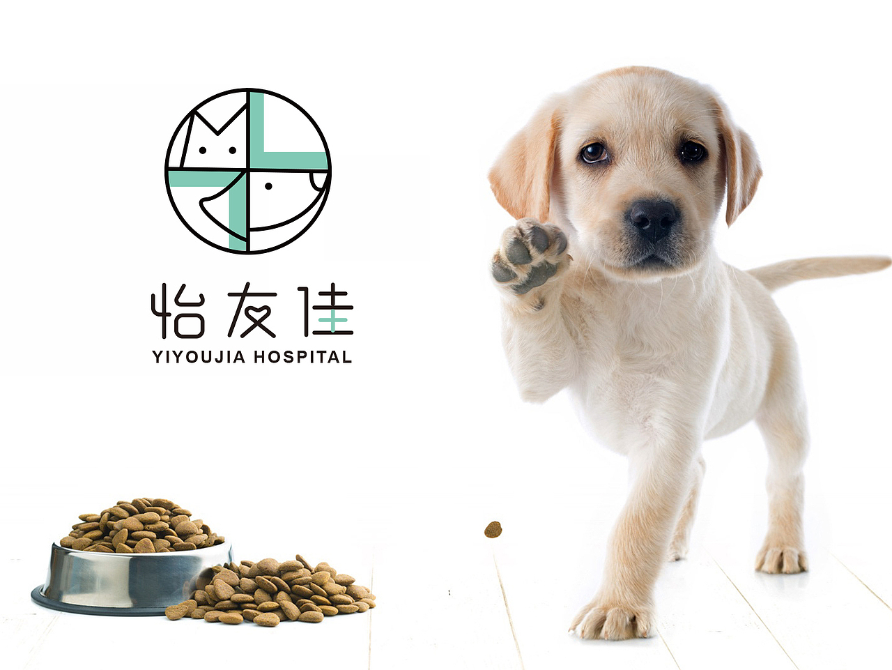 怡友佳宠物医院logo设计（图ZMTUxMDg3MDcy） - 品牌 - 站酷设计师伟儿monster原创素材 - 站酷ZCOOL