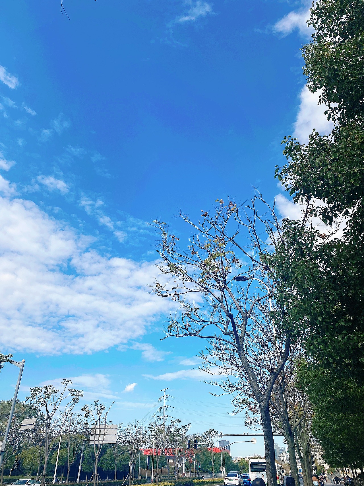 随手拍入初冬的上海美景[moc顶]