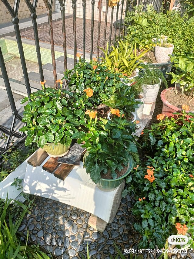 纪念一下我去工作室面试画师然后路上偶遇一只猫的故事