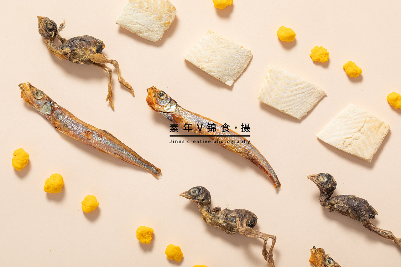 猫狗粮食/宠物零食/鸡肉鱼肉冻干创意拍摄