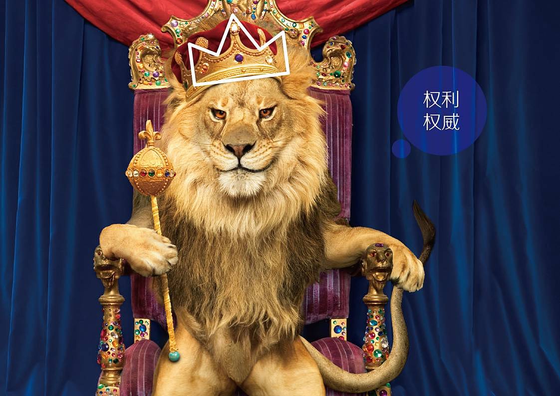 金征远品牌升级提案