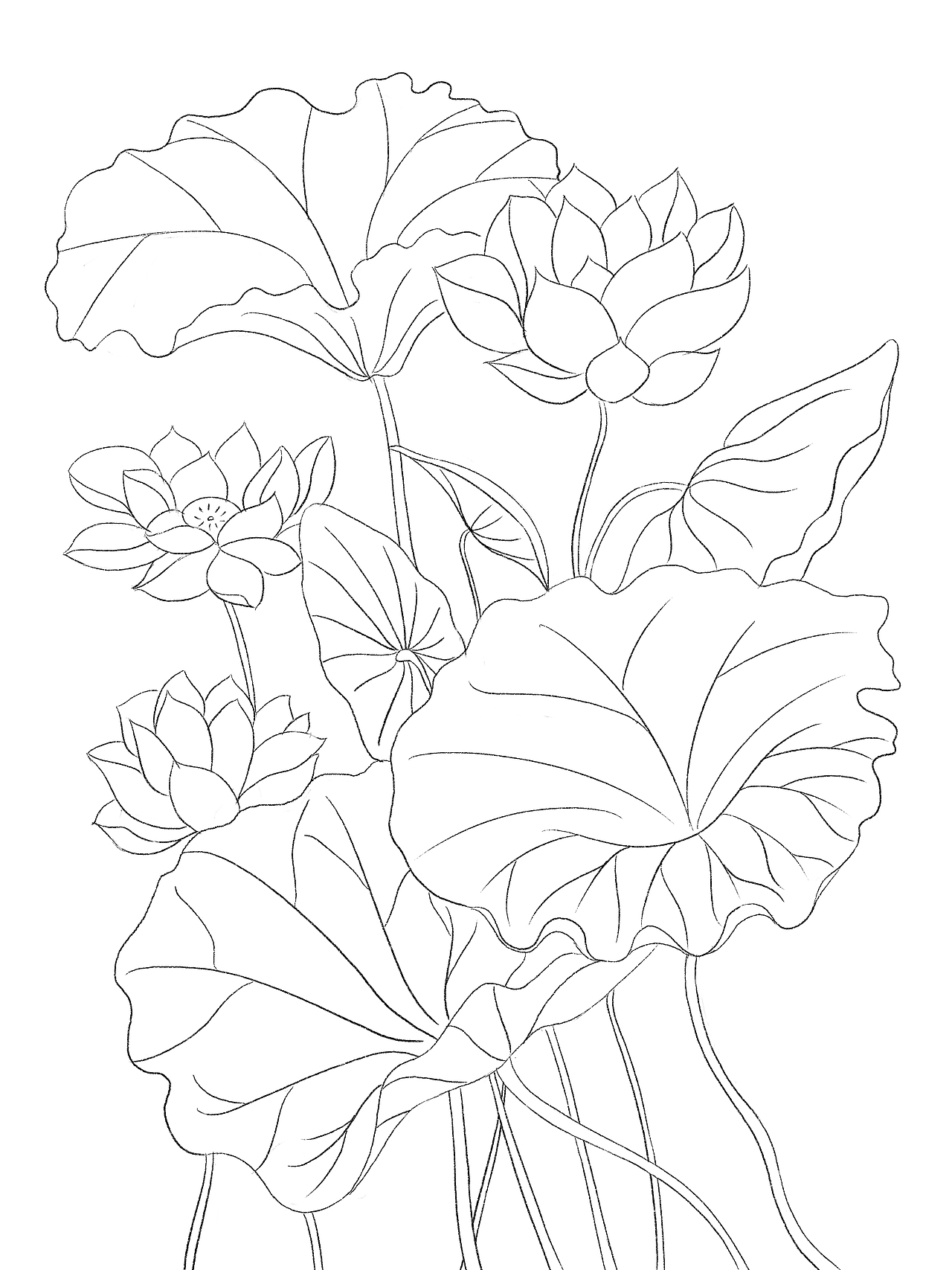 国潮风元素荷练习