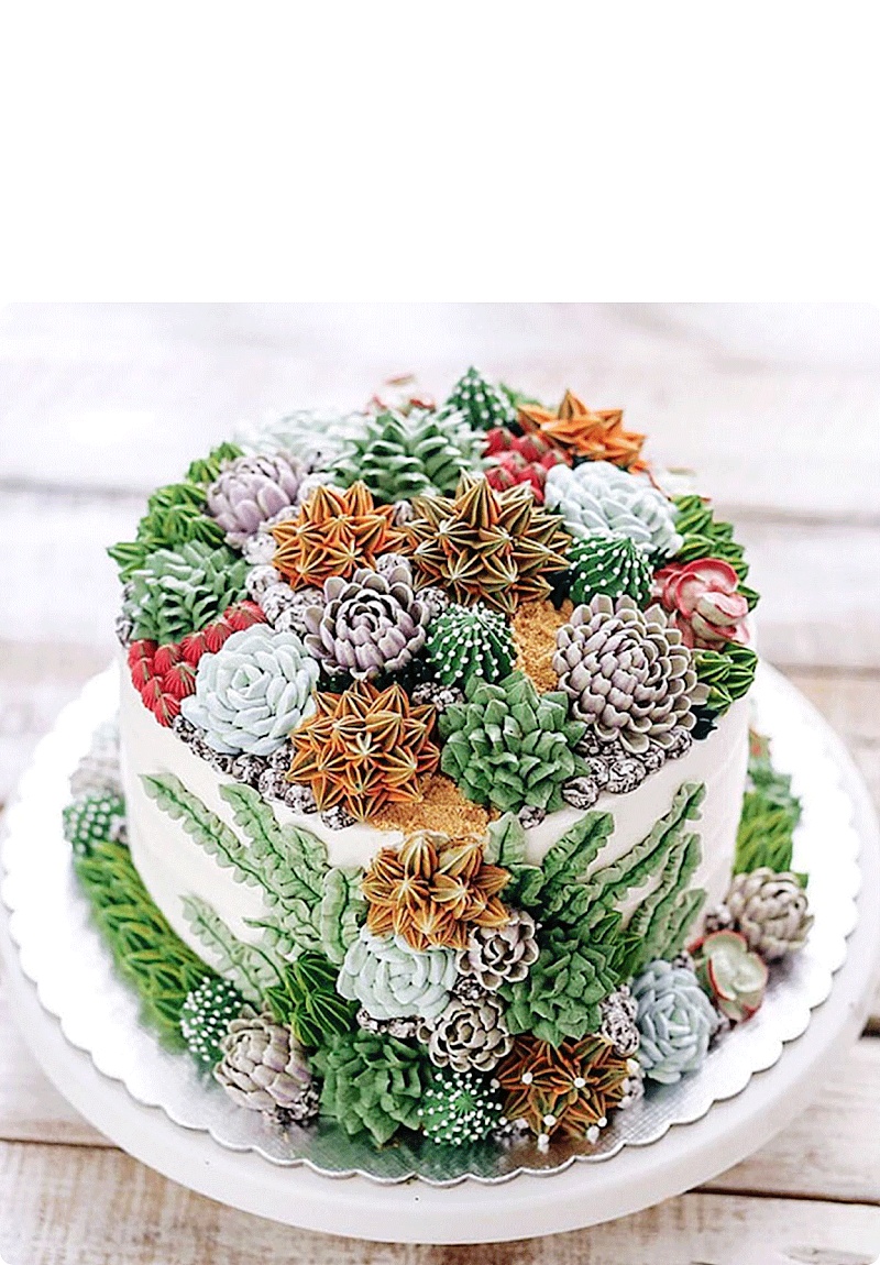 蛋糕用食材的一些质感巧妙的创作模拟了一些多肉植物的土壤就好像一盆