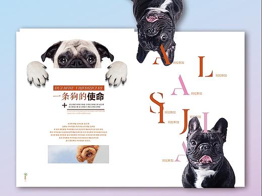 畫冊(cè)（個(gè)人主頁(yè)-ZMjI1NzMyMzI=） - 書籍/畫冊(cè) - 站酷設(shè)計(jì)師一設(shè)記原創(chuàng)素材 - 站酷ZCOOL