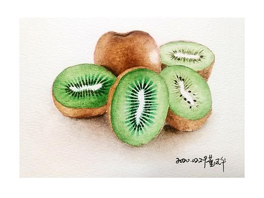 獼猴桃兒（個人主頁-ZNDYzNjM1MzI=） - 創(chuàng)作習(xí)作 - 站酷設(shè)計(jì)師畫畫的董董原創(chuàng)素材 - 站酷ZCOOL