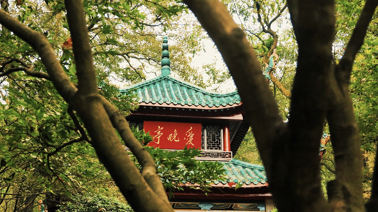 想把秋天画在画本里