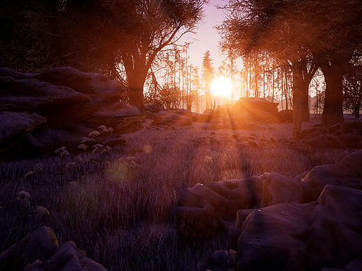 尝试twinmotion制作风景