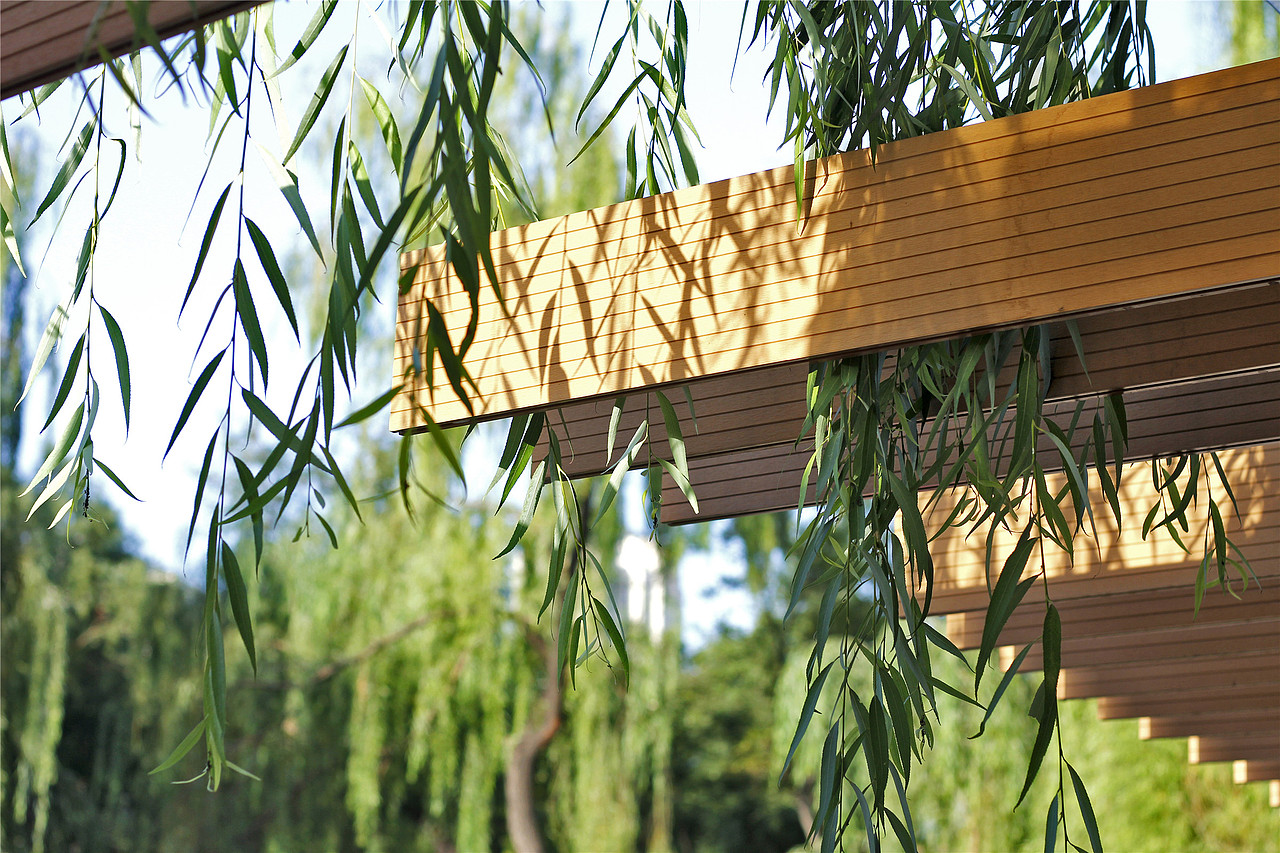 太原龙潭公园栖凤湖湿地