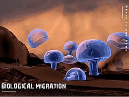BIOLOGICAL MIGRATION（生物迁移）