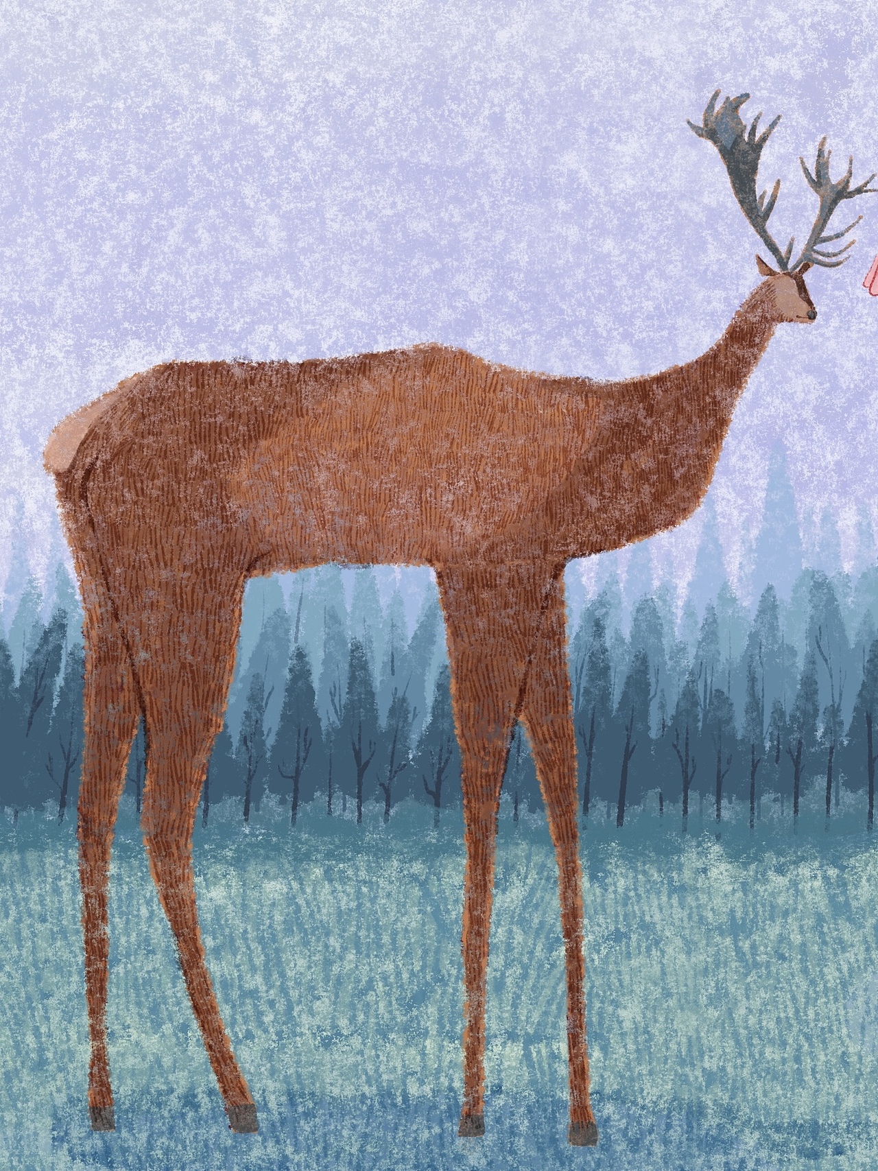 原创插画|伦敦Bushy Park的小鹿