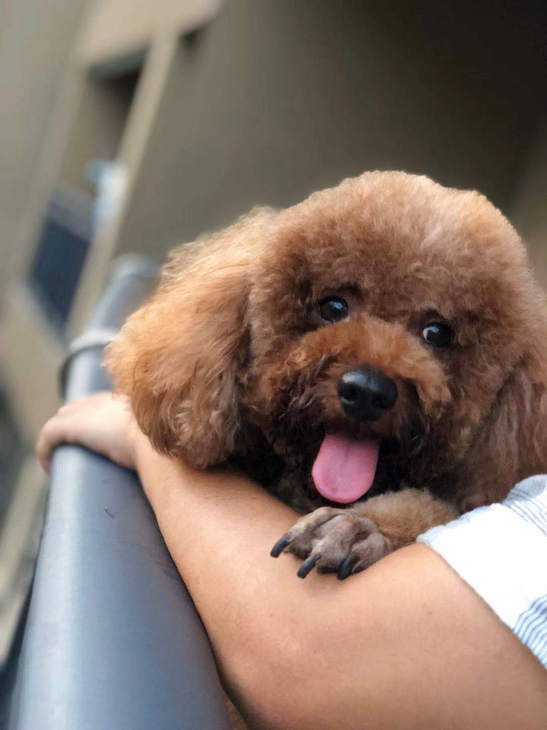 月畔的個(gè)人主頁（背景預(yù)覽） - 主頁背景設(shè)置 - 站酷設(shè)計(jì)師月畔原創(chuàng)素材 - 站酷ZCOOL