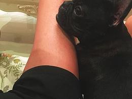 蓝湖和cutterman的功能