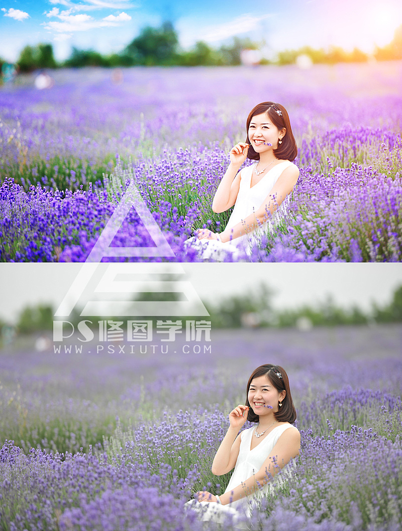 PS调色浪漫薰衣草蓝紫色调