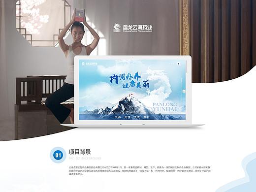 药业、集团、企业宣传网站