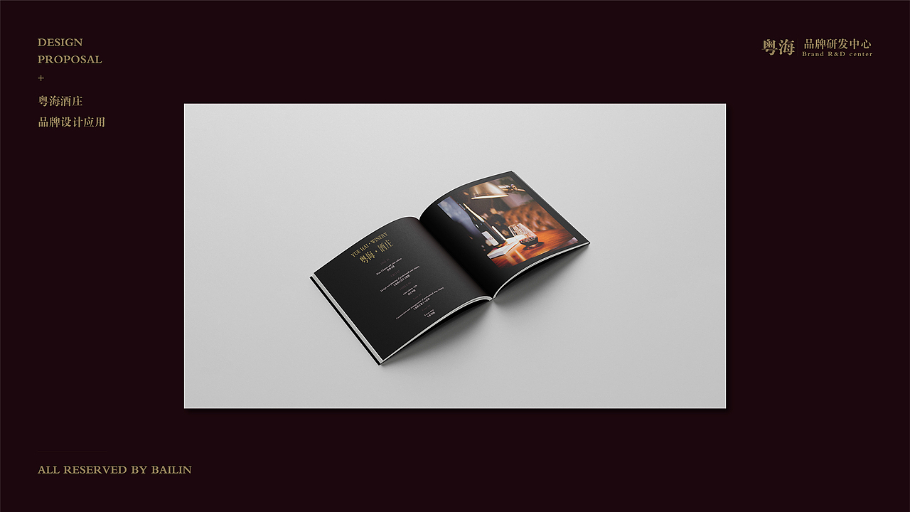 VI（图ZMjY4NjkwNDg0） - 品牌 - 站酷设计师榴莲珍珠咸鱼汤原创素材 - 站酷ZCOOL