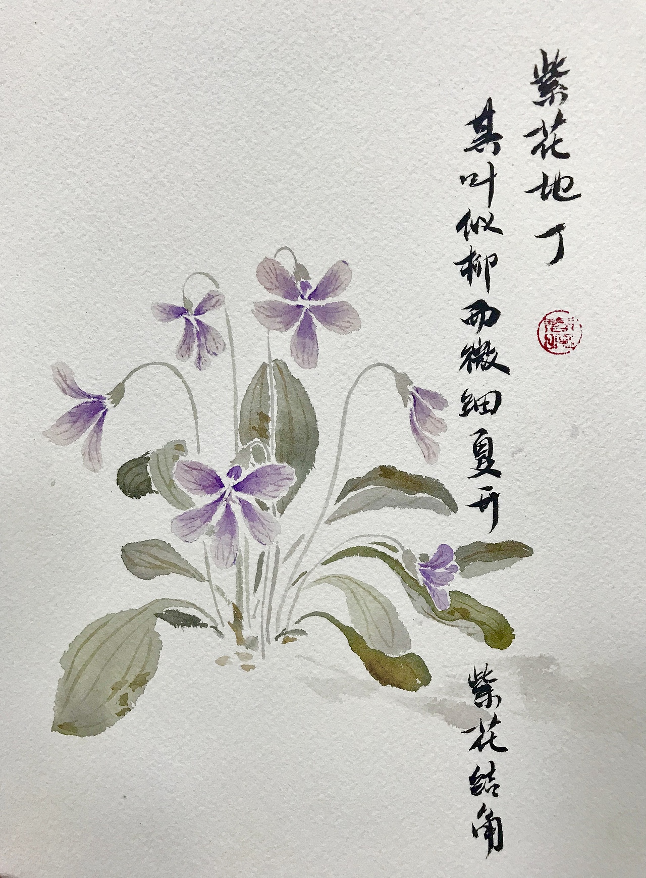 一组水彩画毕业设计（图ZMTc1MzQ3NTUy） - 创作习作 - 站酷设计师闻啼鸟原创素材 - 站酷ZCOOL