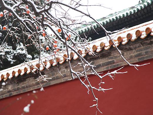 故宫初雪