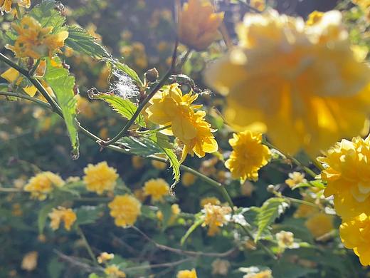 博柏利紅粉戀歌禮盒拍攝（個(gè)人主頁-ZNTI3MjI3MDg=） - 產(chǎn)品攝影 - 站酷設(shè)計(jì)師CarinaJia原創(chuàng)素材 - 站酷ZCOOL