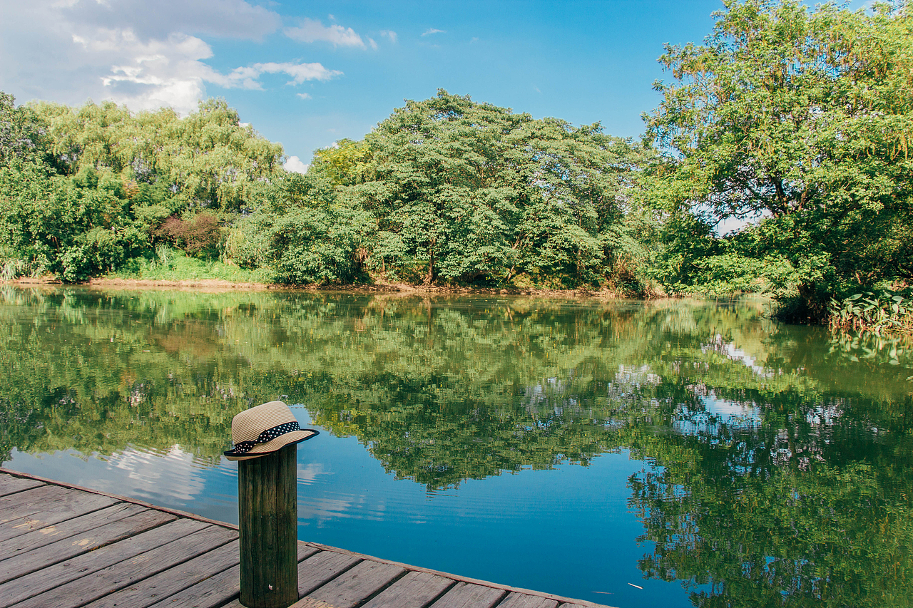 就喜欢夏天出来晒太阳-西溪湿地