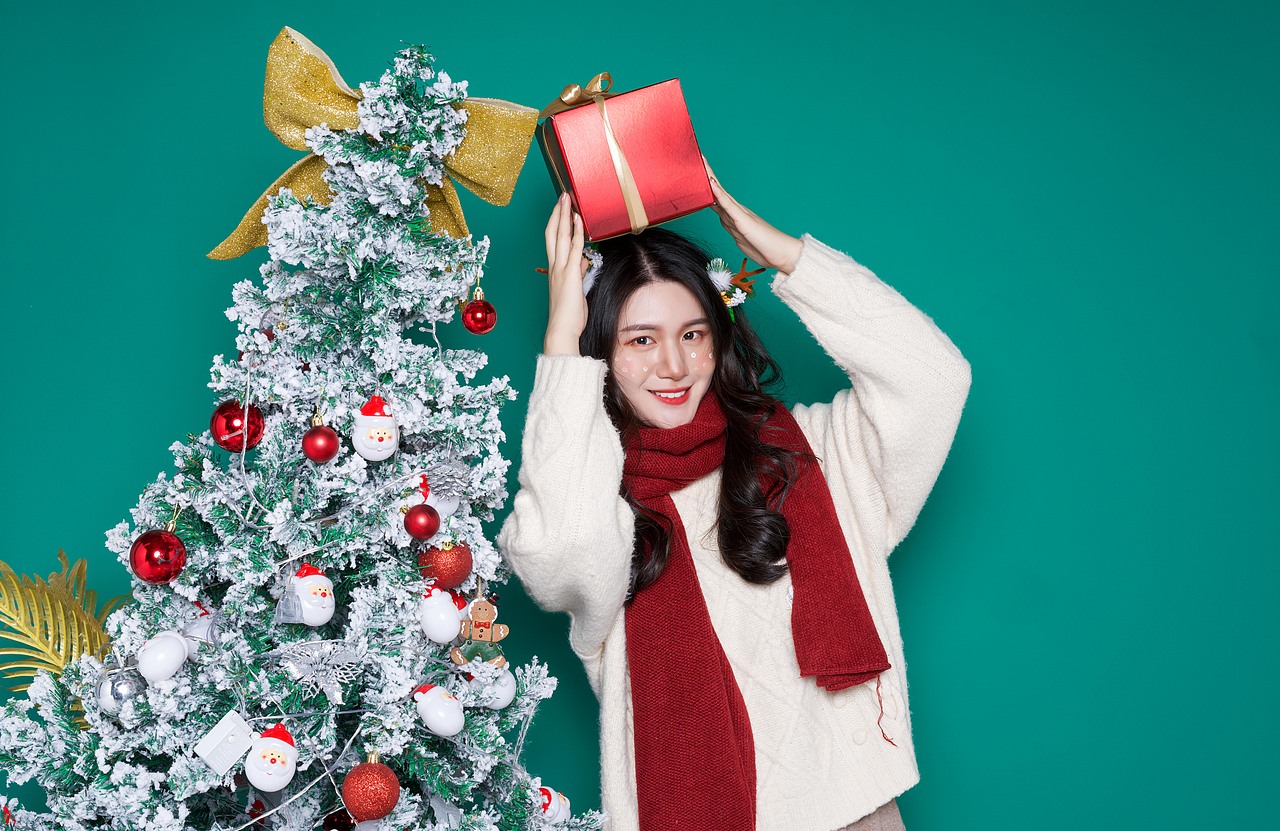 圣诞节特辑人像