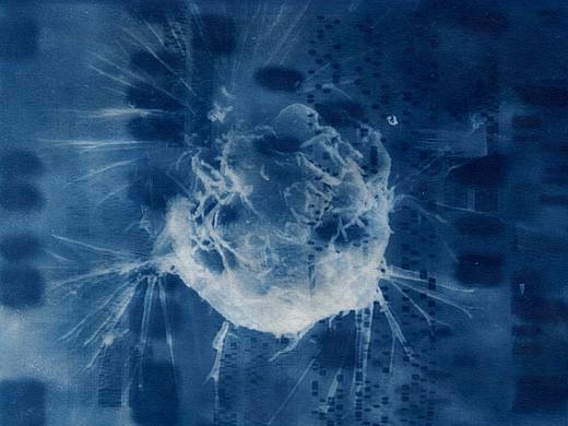 蓝晒Cyanotype - Silk & Cell