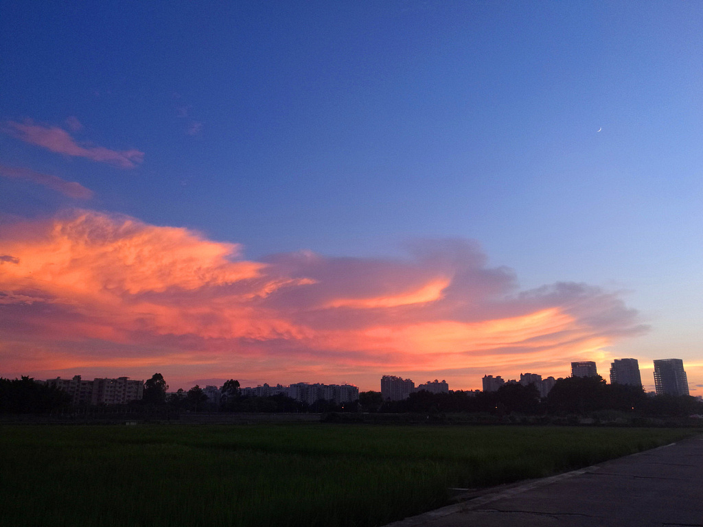 我的项目喜欢的歌手