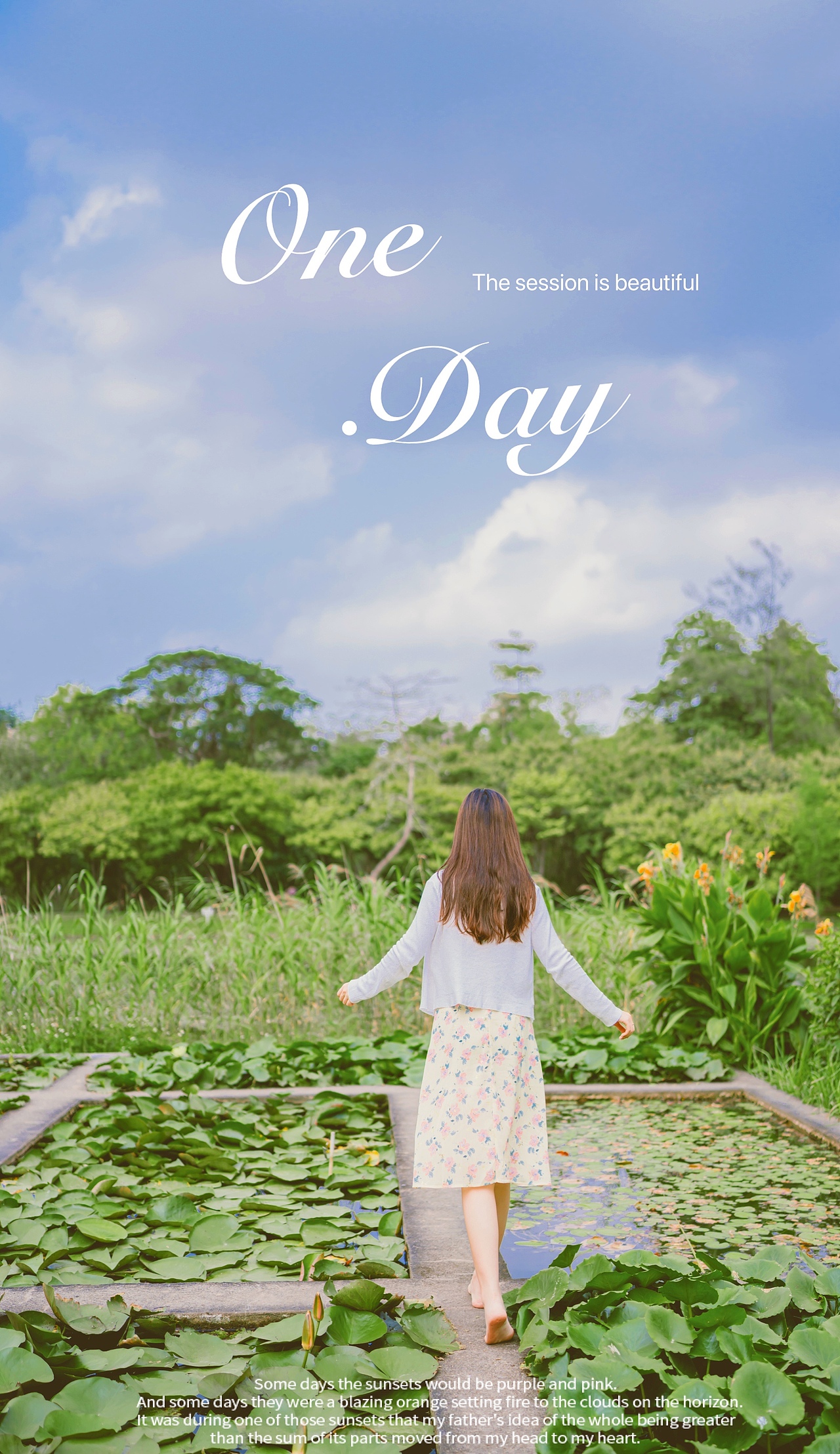 这应该就是夏天的开始