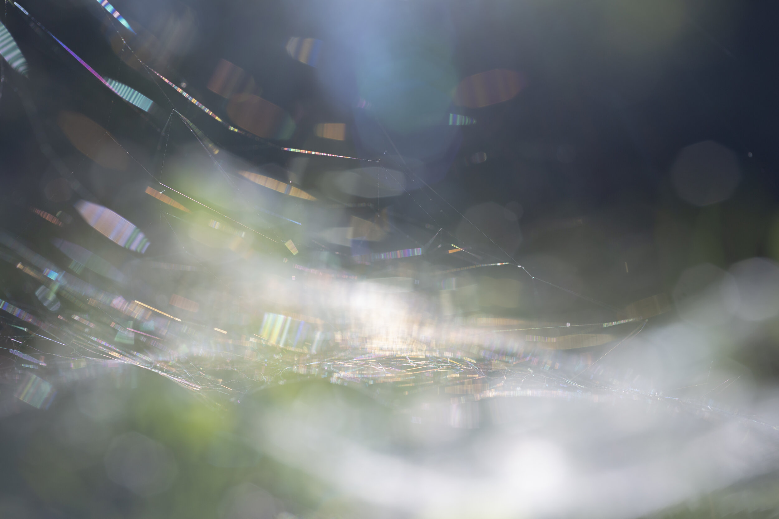 杏川里的个人主页（背景预览） - 主页背景设置 - 站酷设计师杏川里原创素材 - 站酷ZCOOL